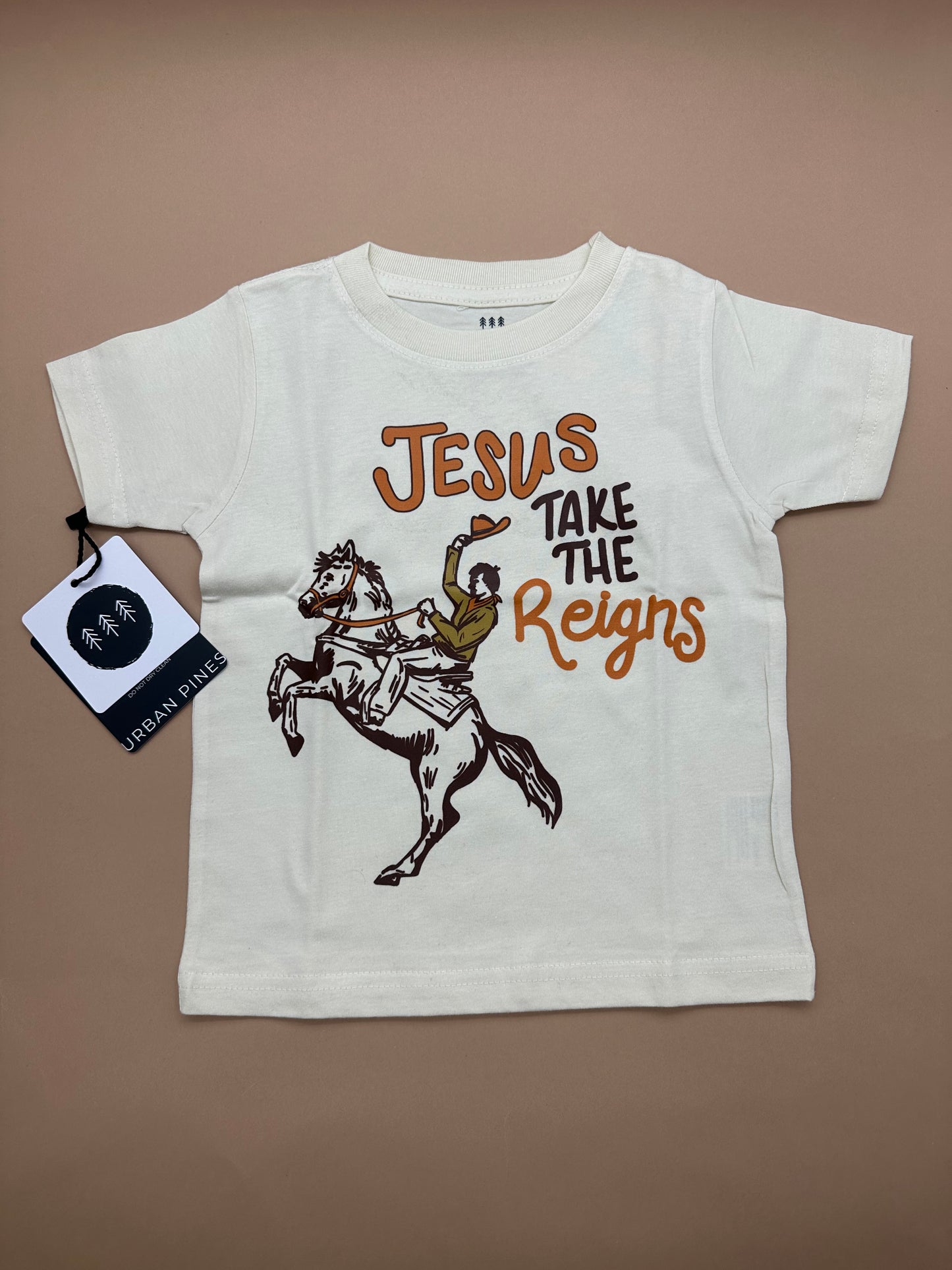 Jesus Take the Reigns